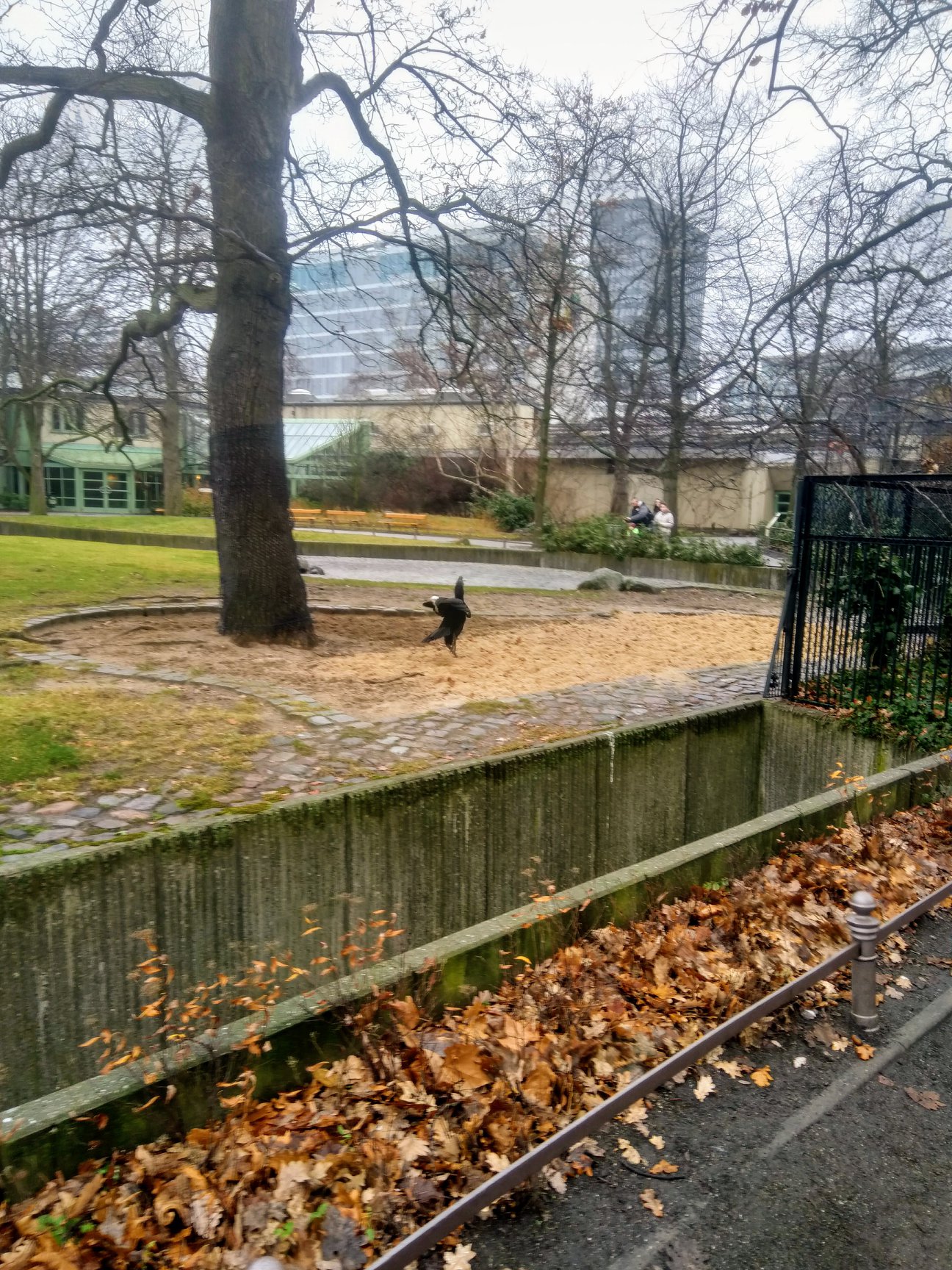 Sint-Martinus den XIIde - Winterkamp VK Berlijn